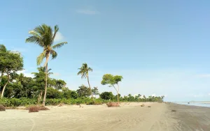 Beautiful Bangladesh: Traveling to a Scenic Beauty